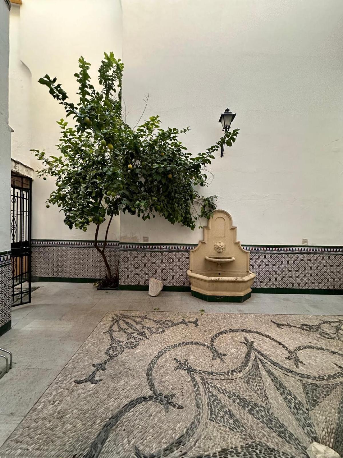 Appartement Au Centre De Gordoba Córdoba Eksteriør bilde